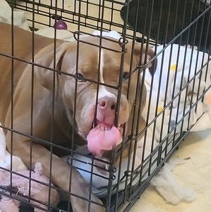 Meet your Posher, Gerald